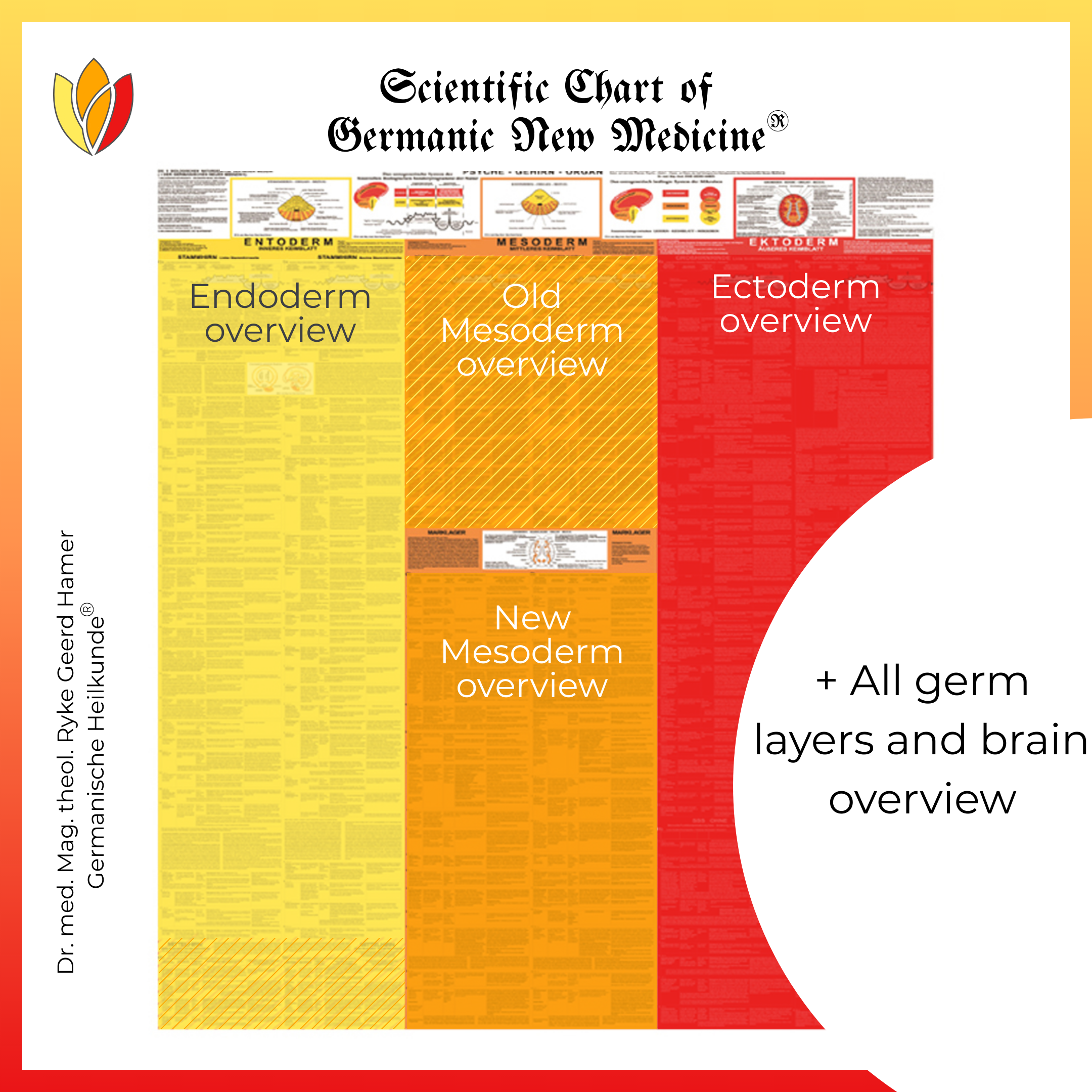 Germ Layer Overview
