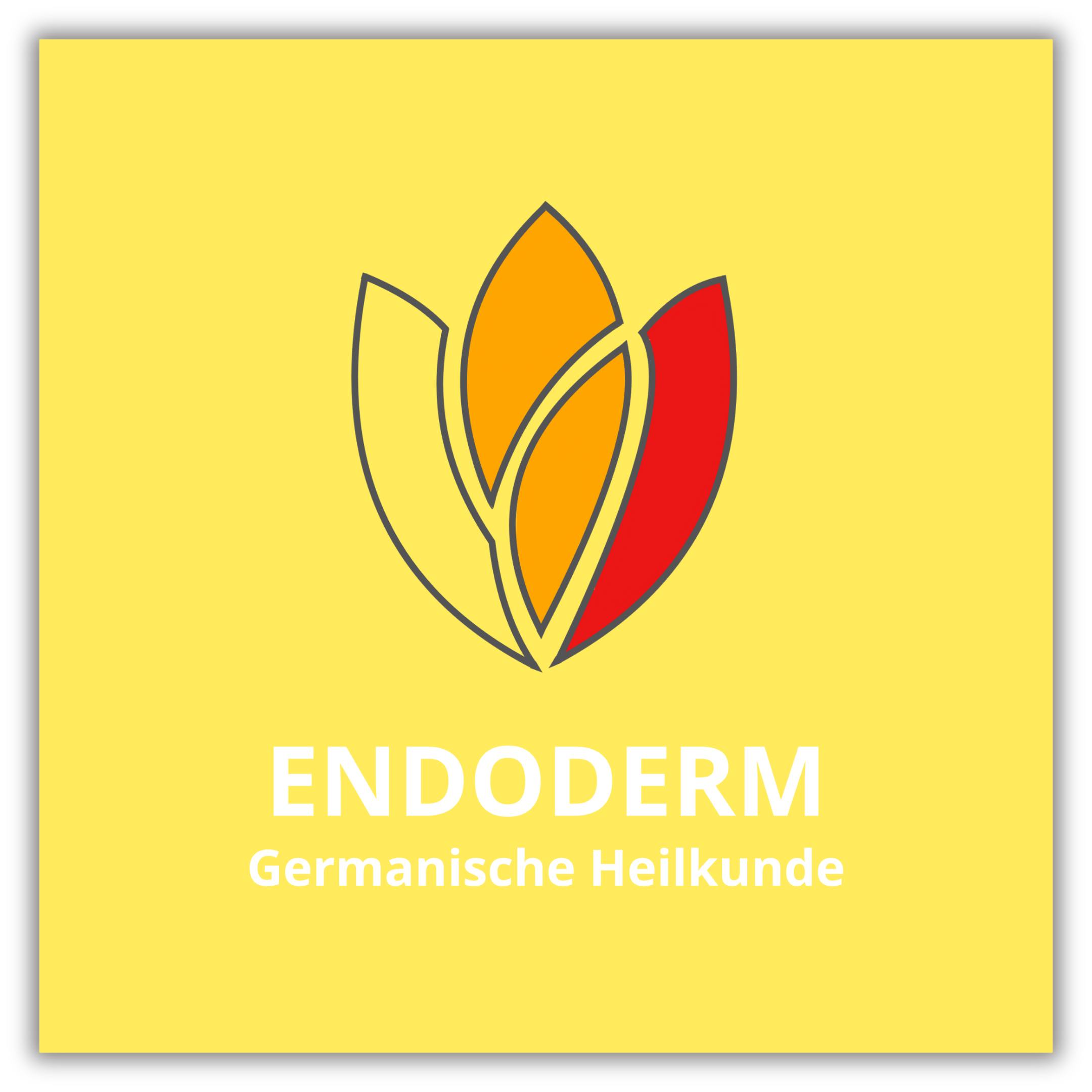 Endoderm Collection