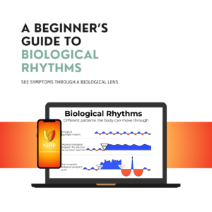 Biological Rhythms An Introduction