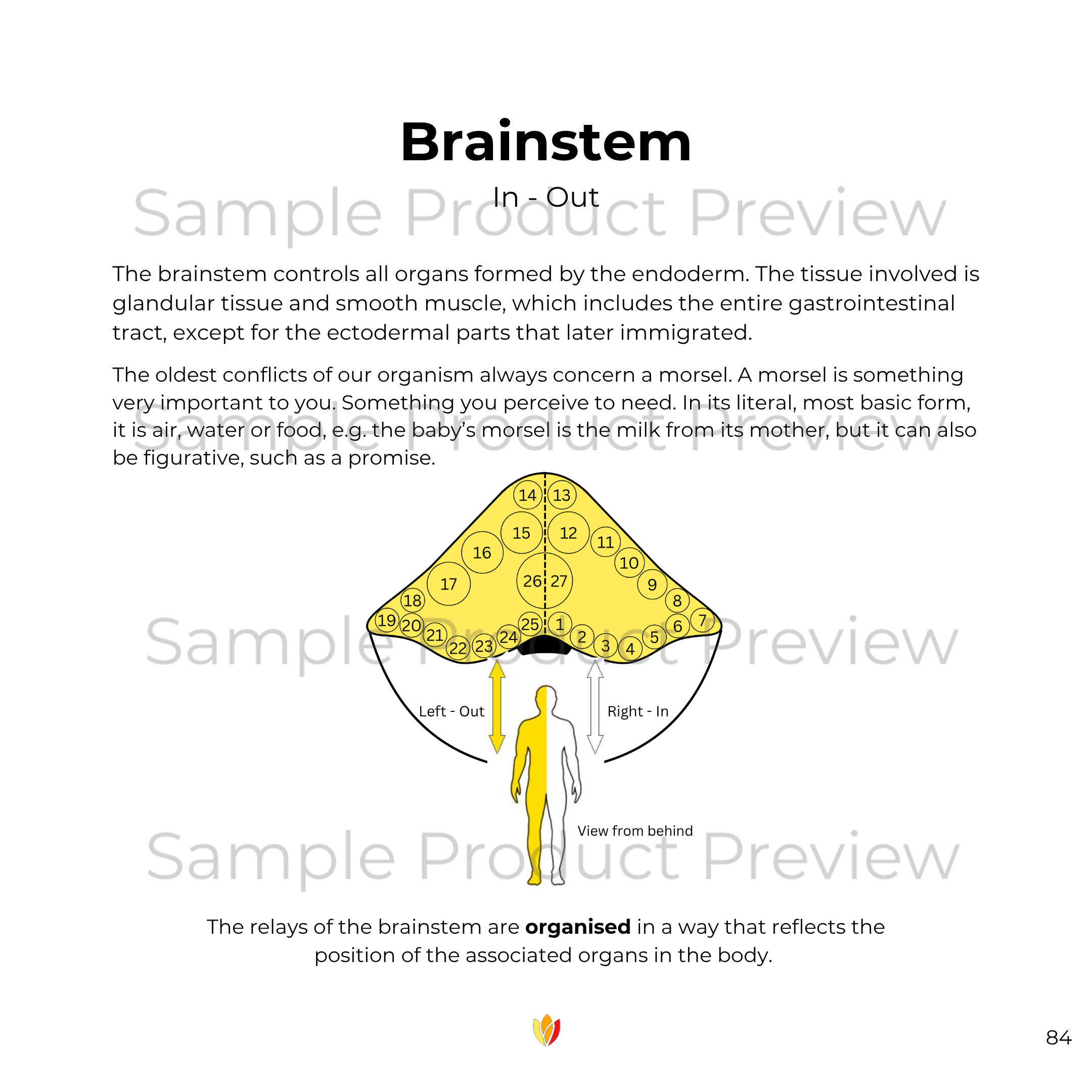 Endoderm Collection - Image 4