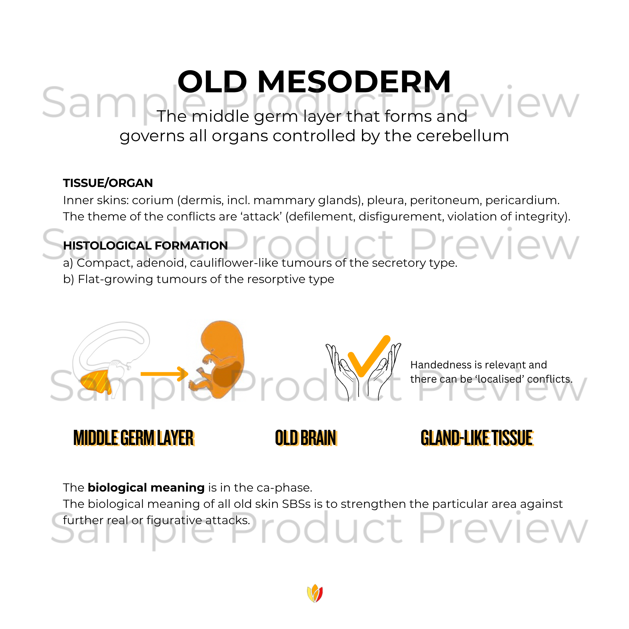 Old Mesoderm Collection - Image 2